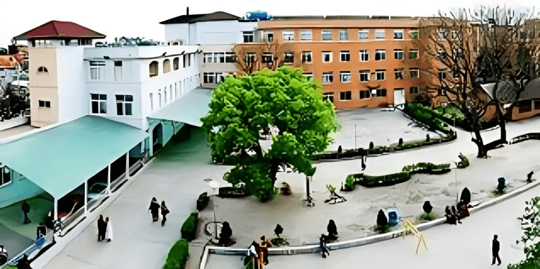 Patan Academy of Health Sciences